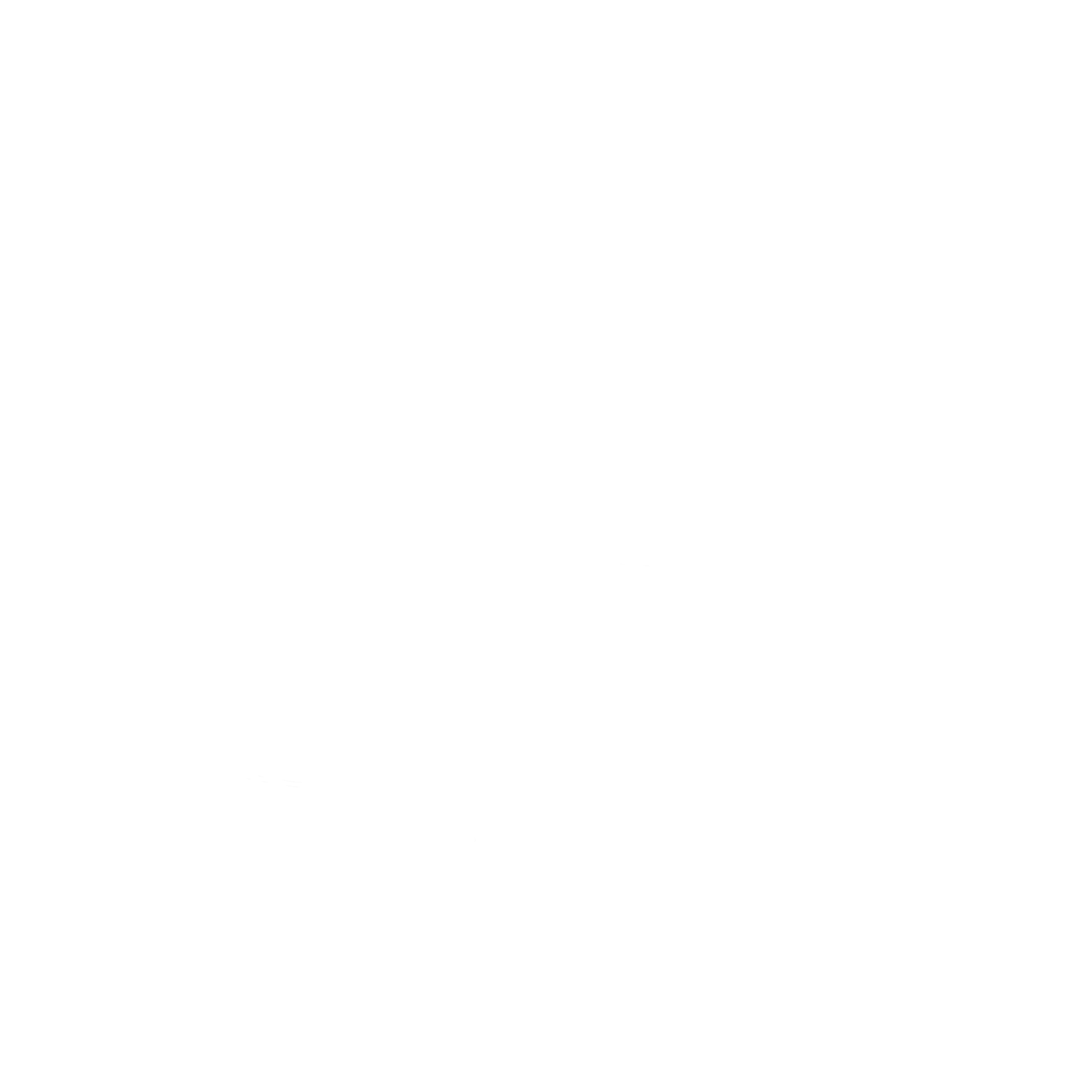 Execurater Logo